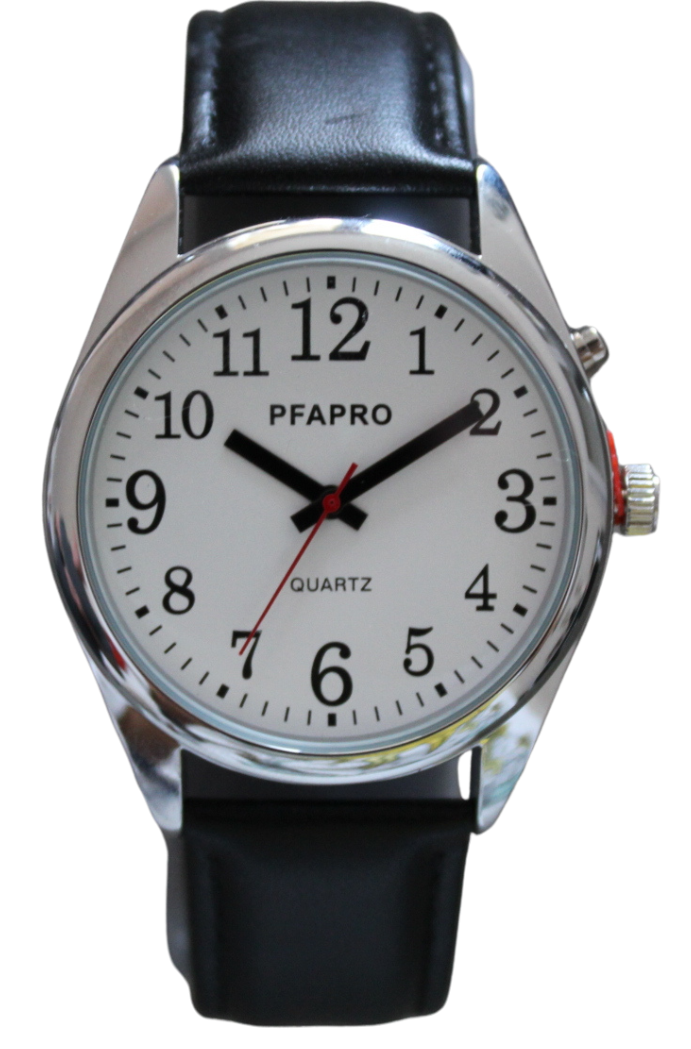 montre parlante homme