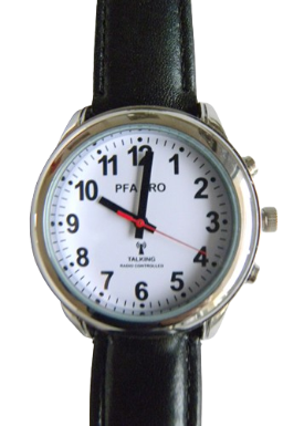 montre parlante homme