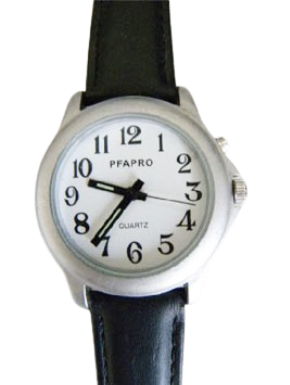 montre parlante simple